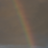 tfield-rainbow-photo
